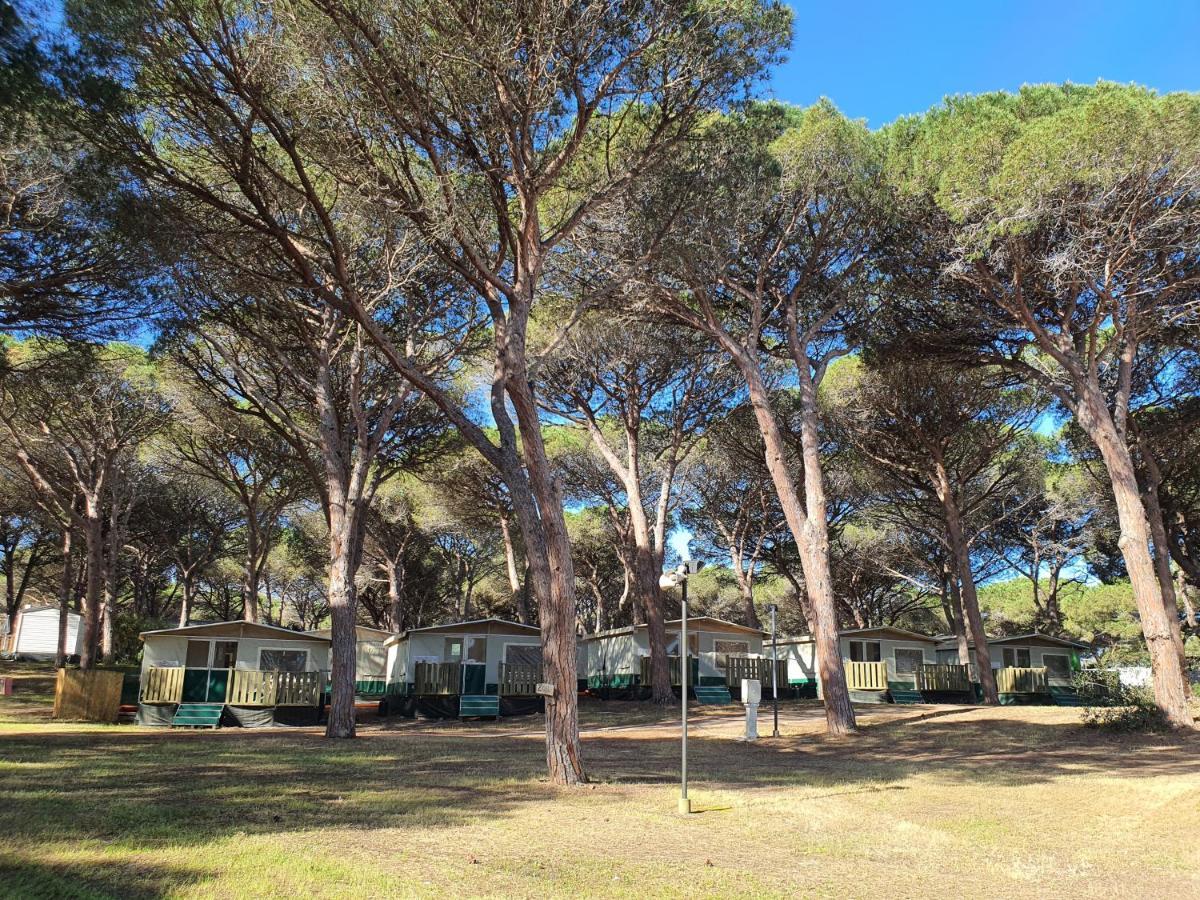 Camping Village S'Ena Arrubia Arborea Buitenkant foto