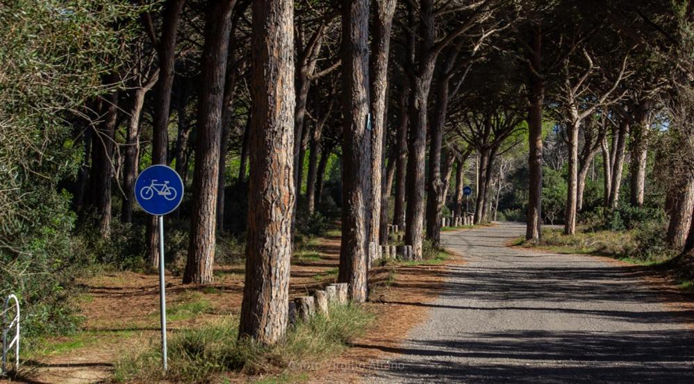 Camping Village S'Ena Arrubia Arborea Buitenkant foto
