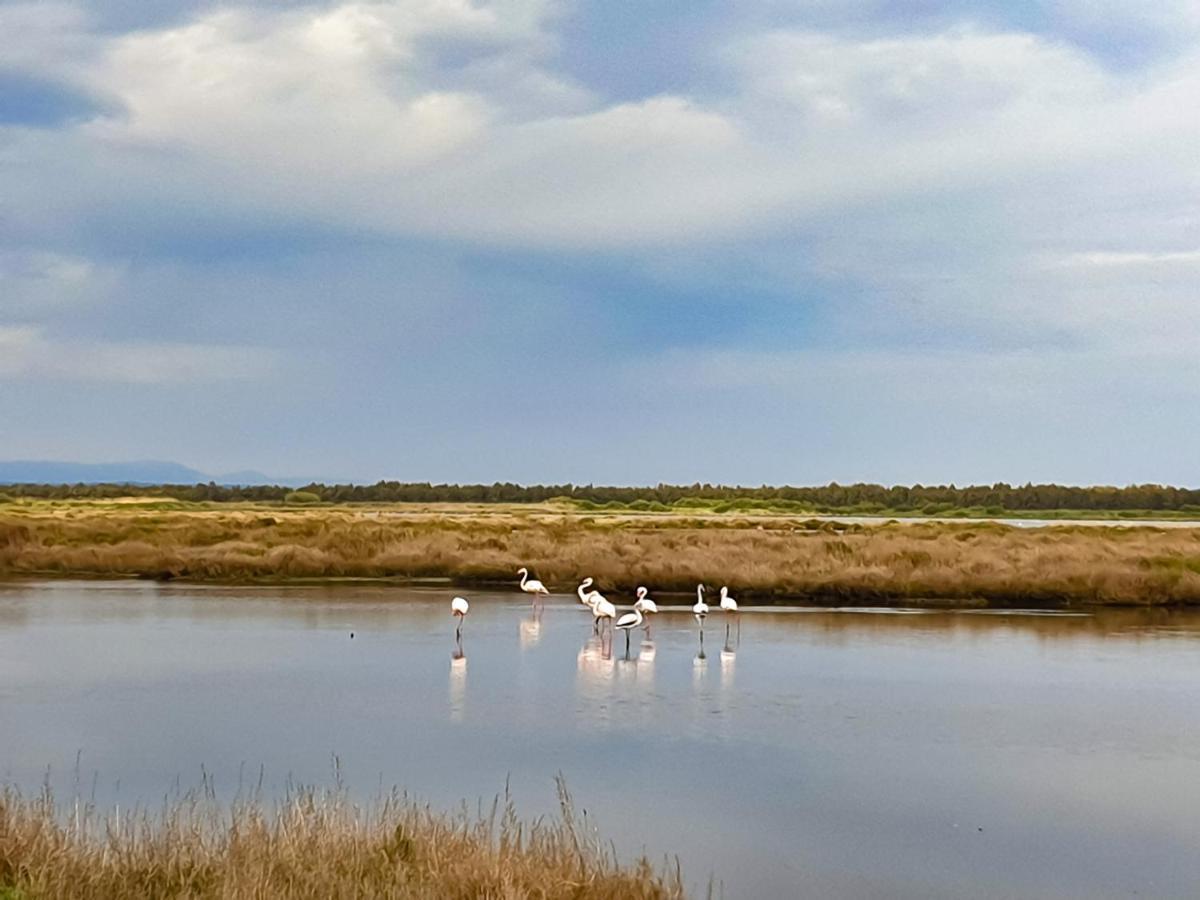 Camping Village S'Ena Arrubia Arborea Buitenkant foto