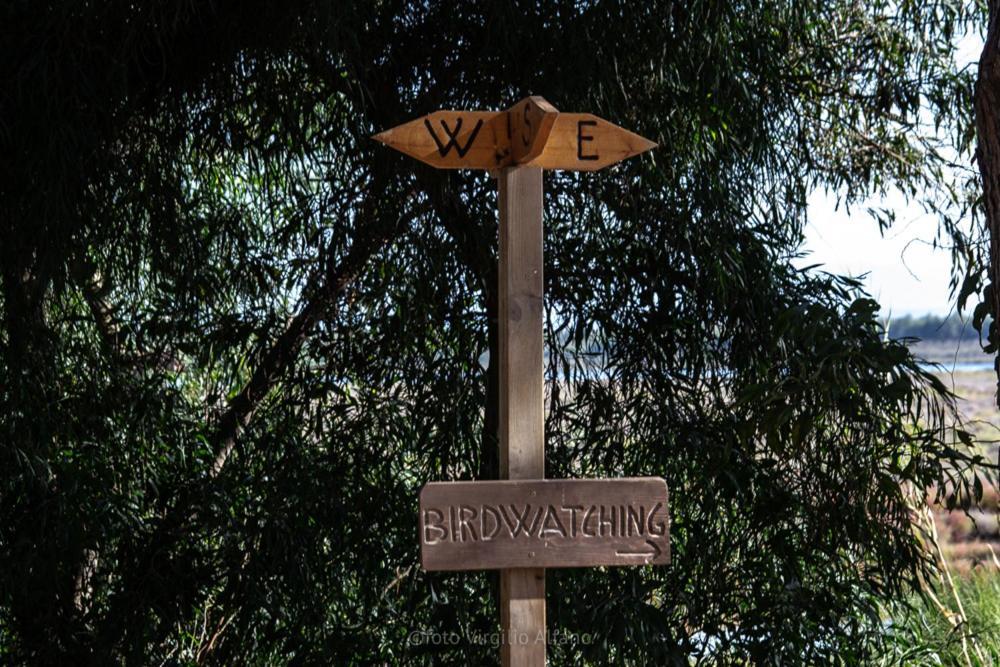 Camping Village S'Ena Arrubia Arborea Buitenkant foto