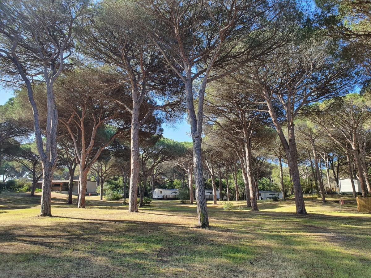 Camping Village S'Ena Arrubia Arborea Buitenkant foto