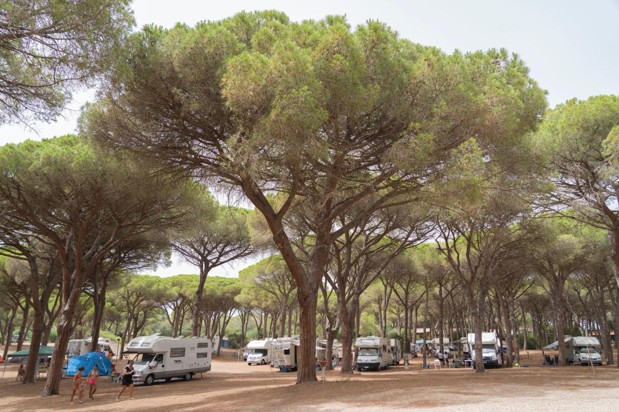 Camping Village S'Ena Arrubia Arborea Buitenkant foto