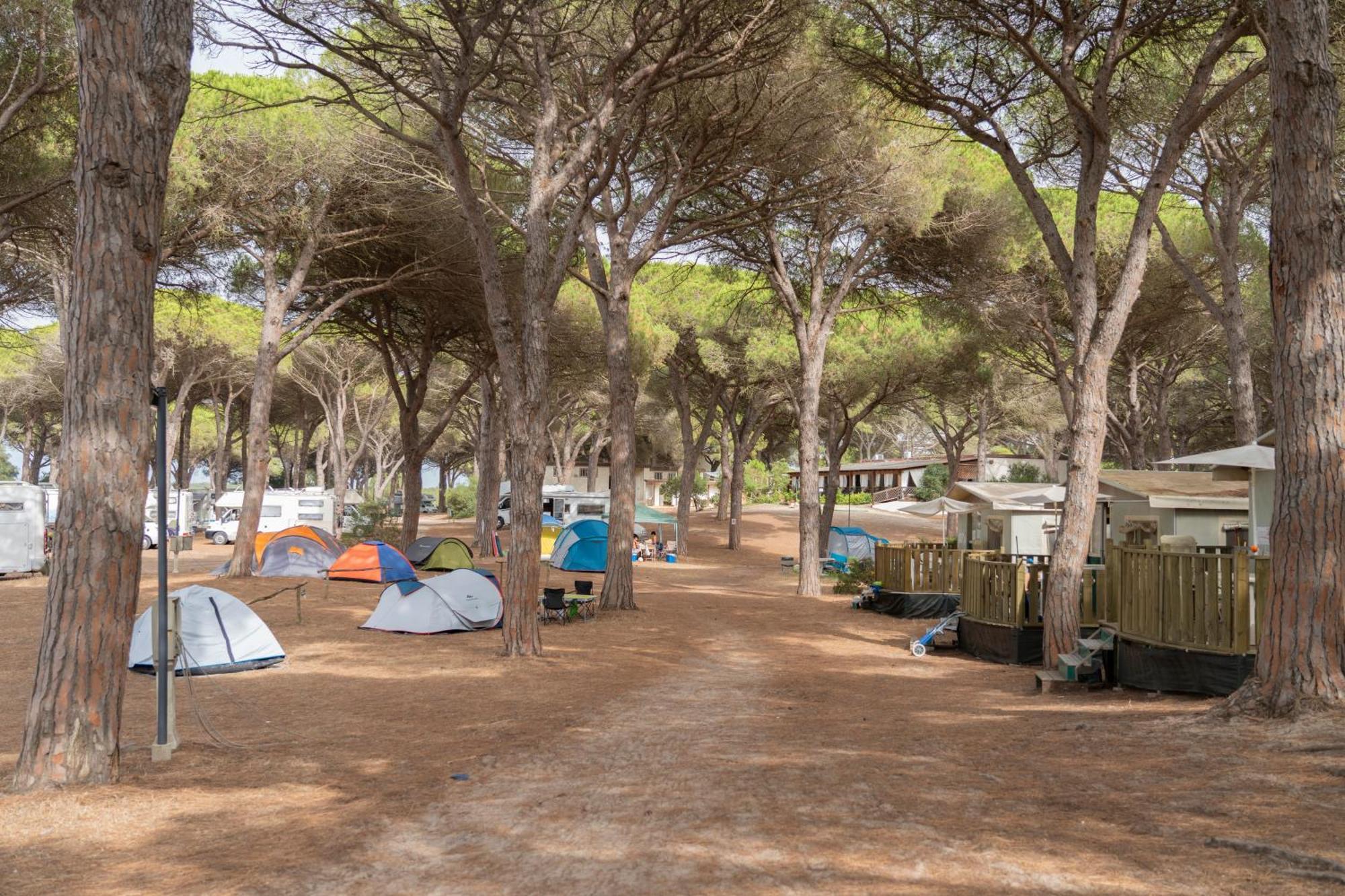 Camping Village S'Ena Arrubia Arborea Buitenkant foto
